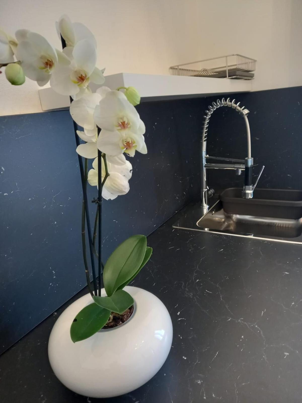 Apartament Casa Porta Vescovo Werona Zewnętrze zdjęcie